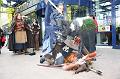 Herr der Ringe Con (53)